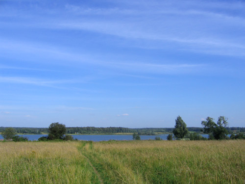 Landscape 33 - Maria Borisova