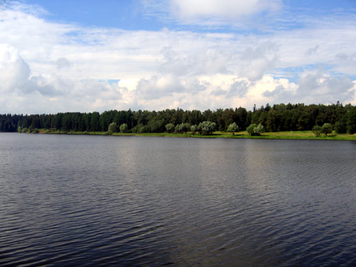 Landscape 35 - Maria Borisova