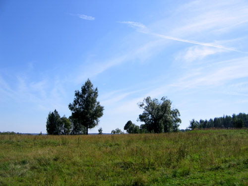 Landscape 38 - Maria Borisova