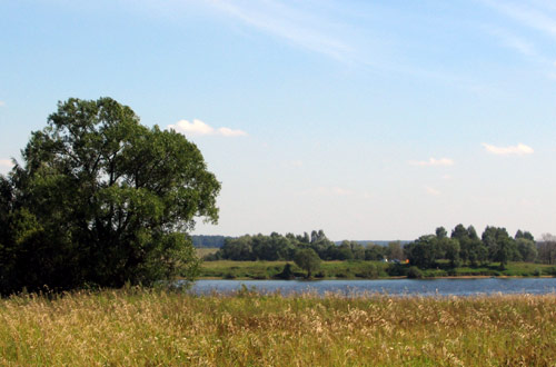 Landscape 41 - Maria Borisova
