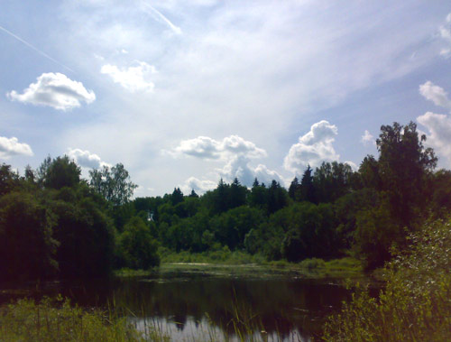 Landscape 42 - Maria Borisova