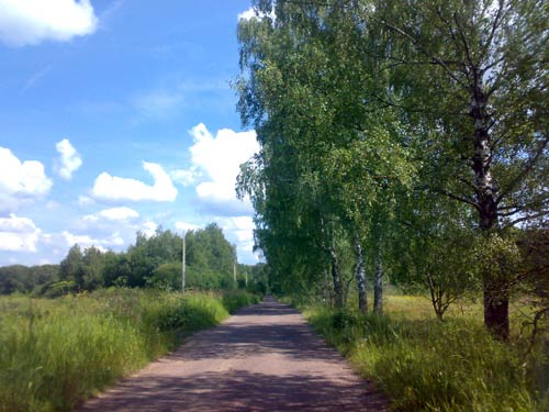 Landscape 43 - Maria Borisova