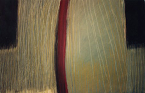 divided field - Yaela Kolberg
