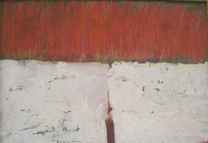 red fields - Yaela Kolberg - Click to enlarge