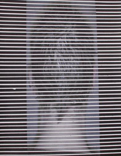 Autoportrait - Charlet Thomas