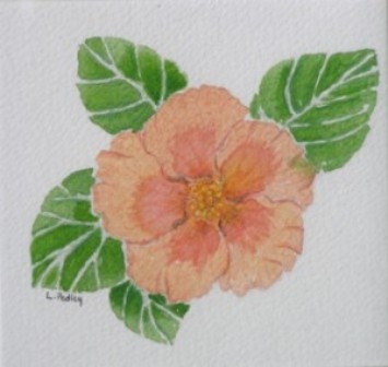 Hibiscus - Lynda Pedley