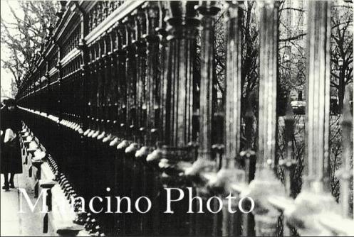 walk by theFence - Jack Mancino