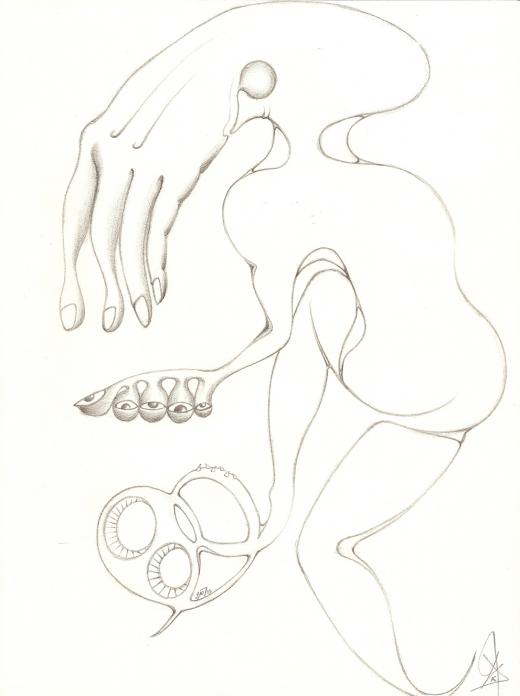 Morphogenèse - Philippe Fauchet - Kawamura