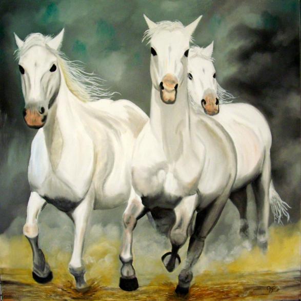 Chevaux Camarguais - Sylvestre Aznar - Cliquer pour afficher en grand