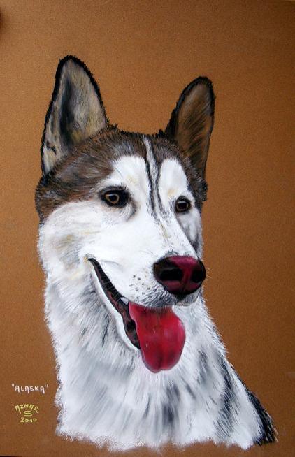ALASKA - Sylvestre Aznar