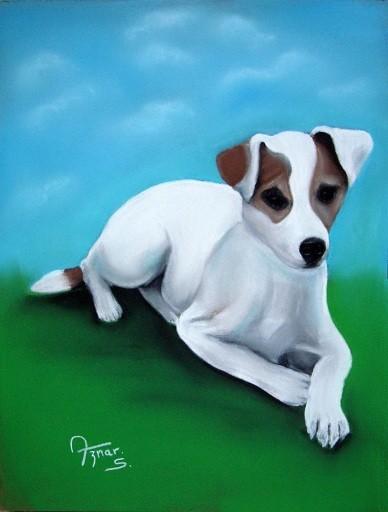 BELLE - Sylvestre Aznar