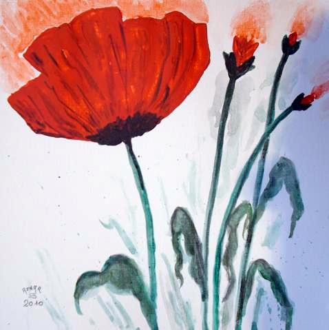 Coquelicots20 - Sylvestre Aznar