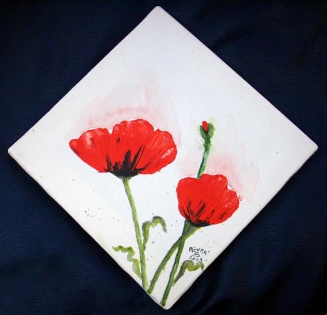 PFL COQUELICOT 3 - Sylvestre Aznar - Click to enlarge