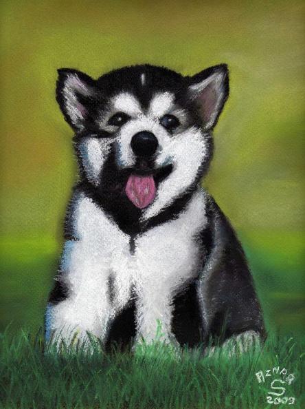 DAKOTA - Sylvestre Aznar