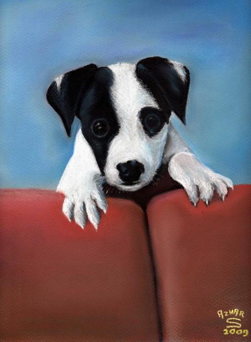 Dodger - Sylvestre Aznar