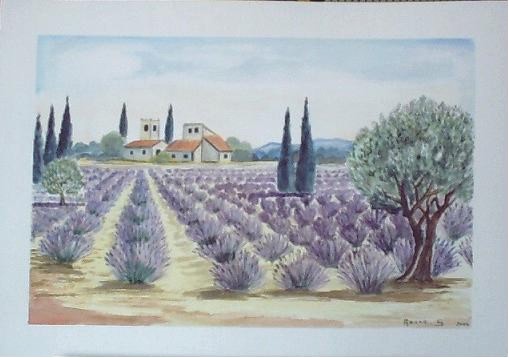 Lavandes Provençales - Sylvestre Aznar