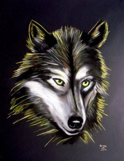LOUP - Sylvestre Aznar