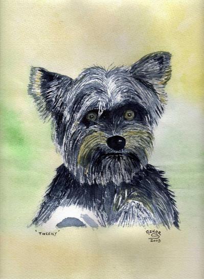 TWEENY - Sylvestre Aznar