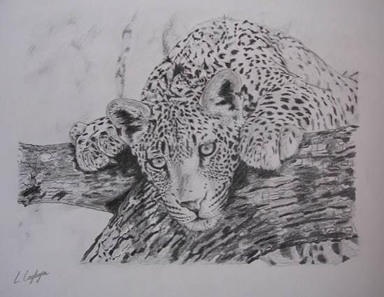 Jaguar 1 - Laetitia Lagleyse