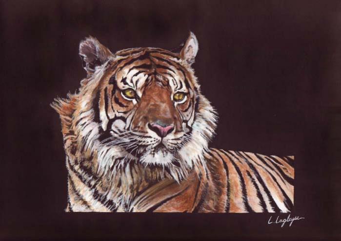 Tigre - Laetitia Lagleyse - Cliquer pour afficher en grand