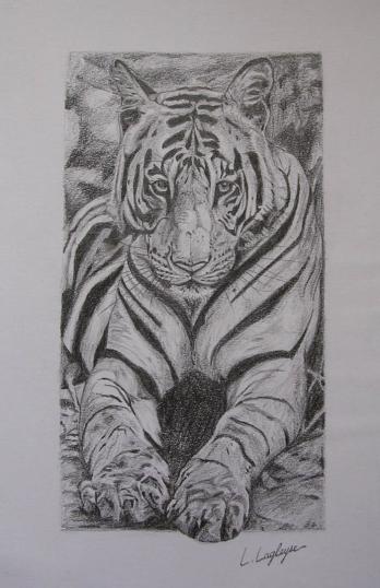 Tigre2 - Laetitia Lagleyse