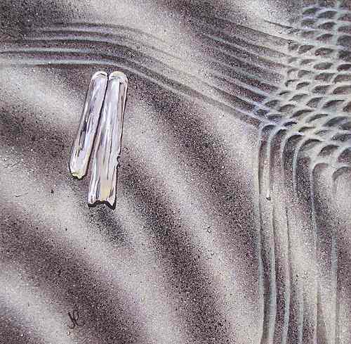 Capalonga (Razor shell) - Cristina Marsi