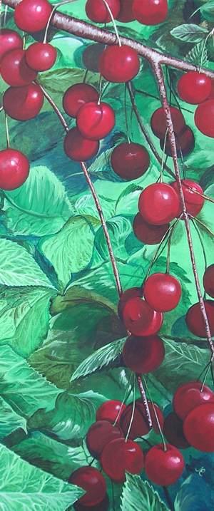Cherries - Cristina Marsi