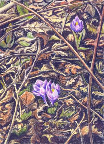 Scent of Spring - Cristina Marsi