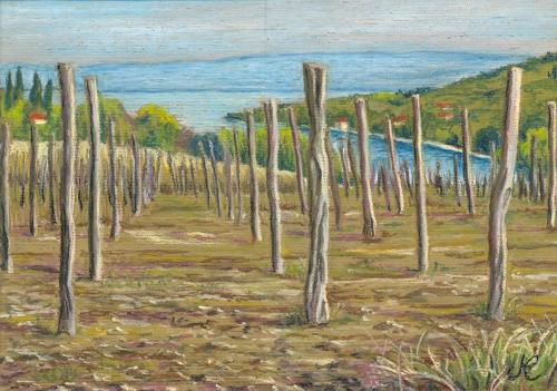 Vignobles - Cristina Marsi