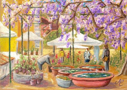 Horti Tergestini - Cristina Marsi