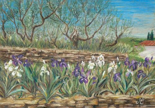 Olive Grove - Cristina Marsi