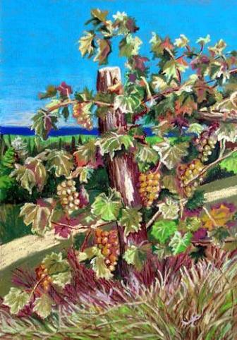 Vendemmia - Cristina Marsi