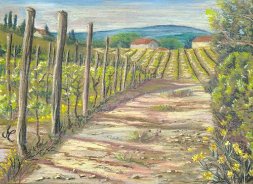 Vignobles #2 - Cristina Marsi