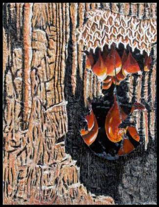 Variations sur les stalactites - Brigitte Maillard Cary