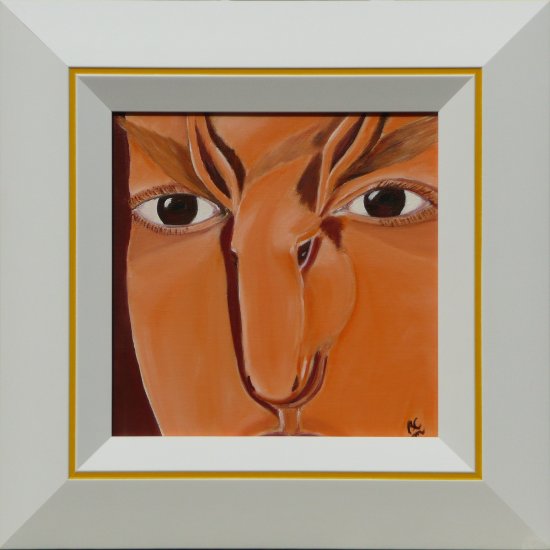 L'idiot du visage - Brigitte Maillard Cary