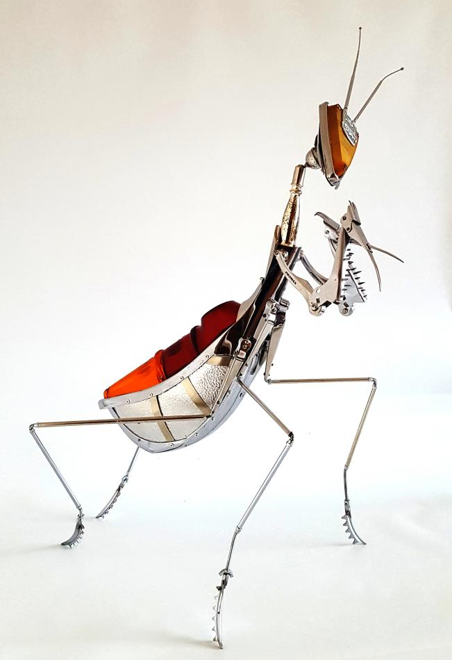 Mantis - Arturas Tamašauskas - Click to enlarge