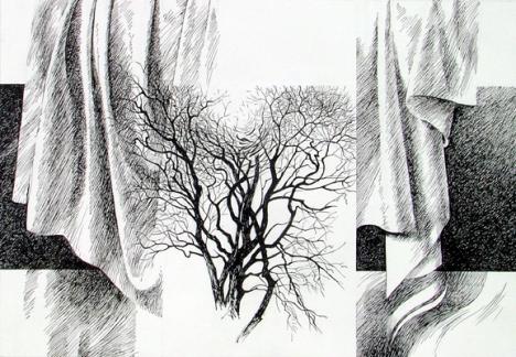 the curtain - Eugenia Leca Botezatu