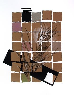 structuring - Eugenia Leca Botezatu
