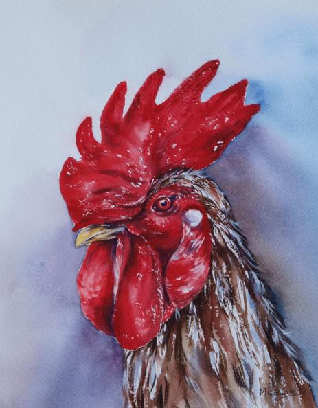 fier comme un coq - Muguette Mauduit