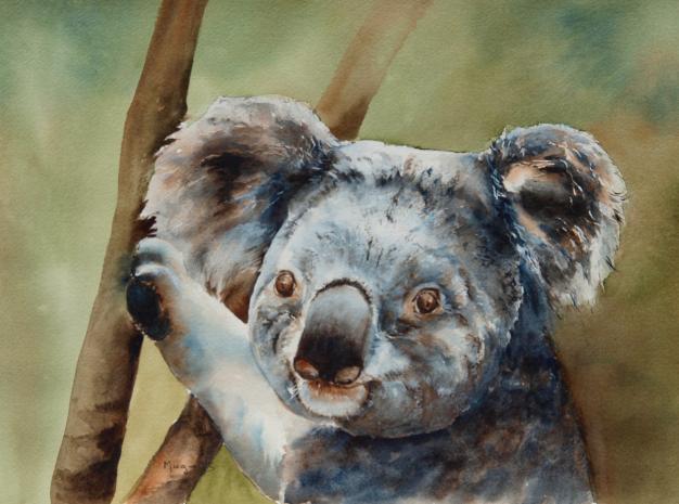 koala - Muguette Mauduit - Cliquer pour afficher en grand