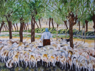 Troupeau de moutons en Cappadoce - Françoise Lallemand