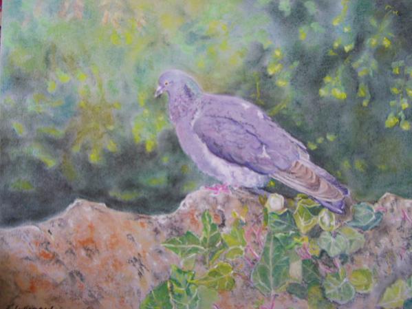 Pigeon rêveur - Françoise Lallemand - Click to enlarge