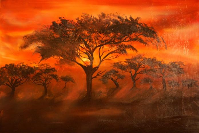 Botswana - Sylvaine Sapin - Cliquer pour afficher en grand