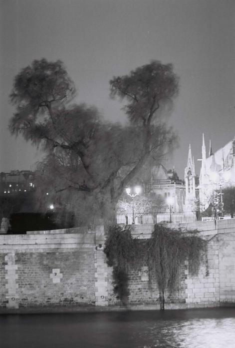 Notre Dame + arbre & berges - Sarcie