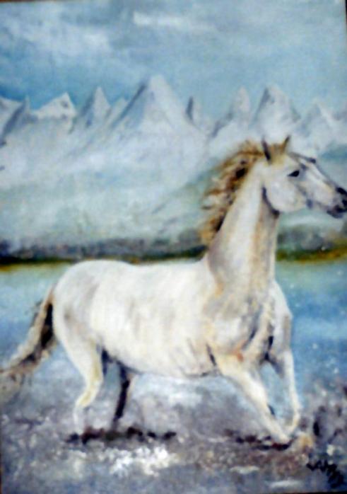 cheval blanc - Bruno Lamy