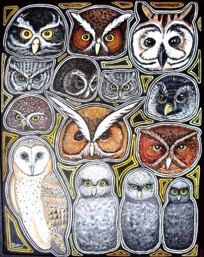Strigiformes: Portrait de famille - Chloe Yzoard