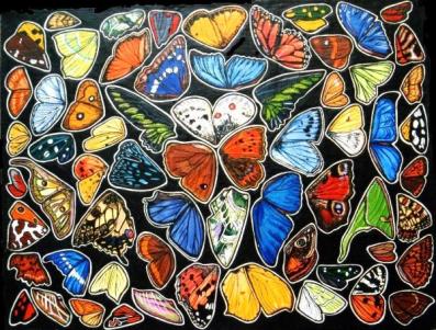 Lepidopteronde - Chloe Yzoard