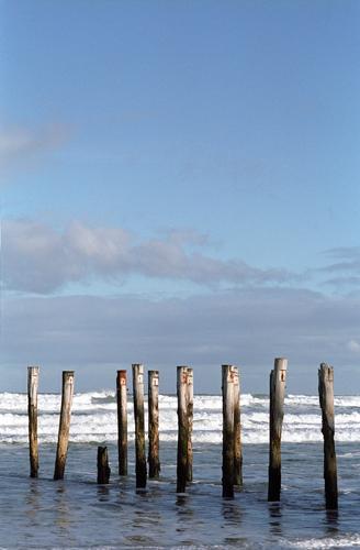 Alignement - Florence Morisson