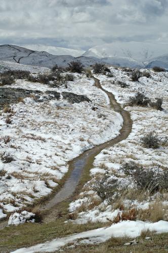 Chemin dans la montagne - Florence Morisson