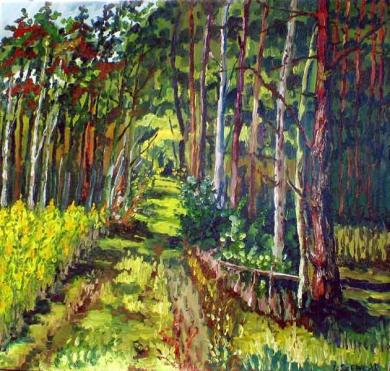 Chemin dans les bois - Iza Szewczyk